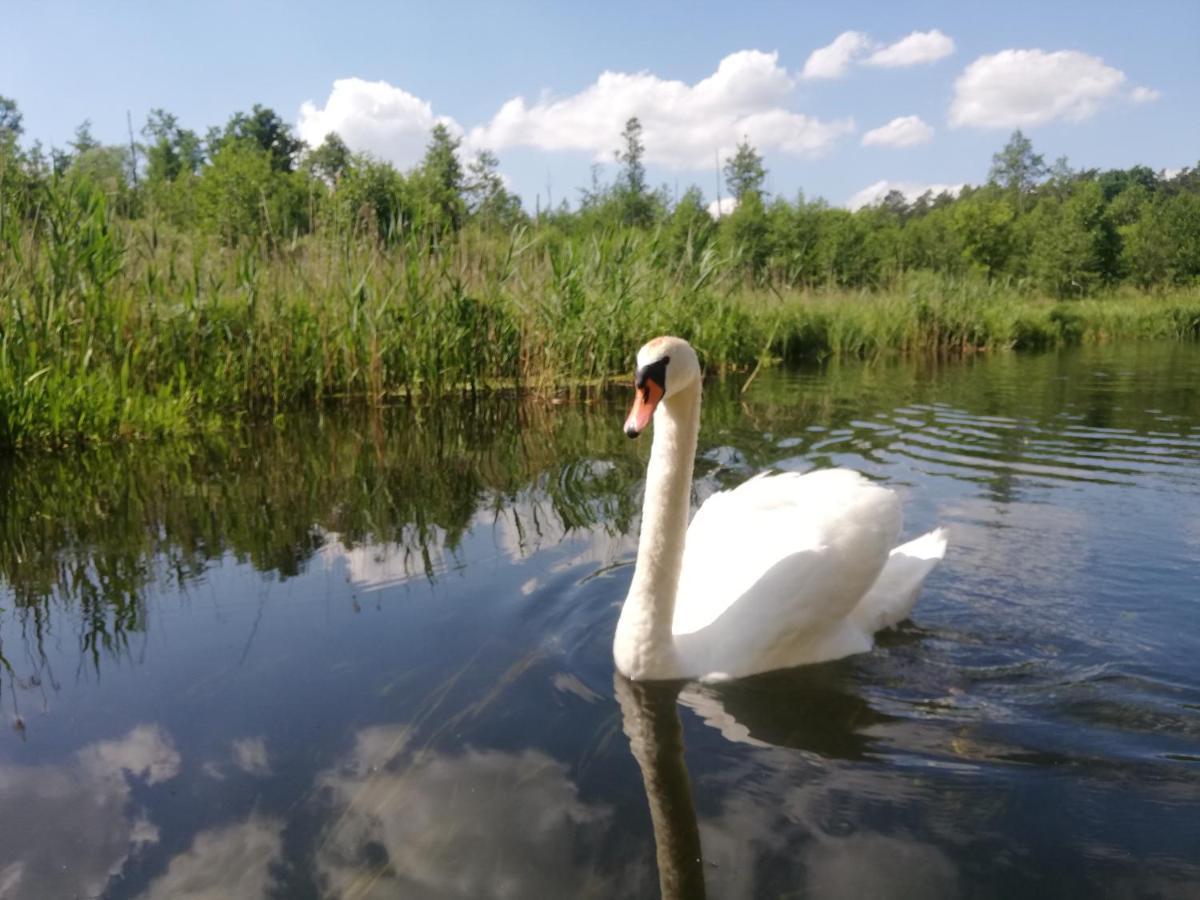 Apartamenty Na Szlaku Giżycko Kültér fotó